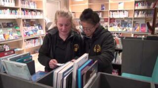 Tipje van de sluier Tipje van de sluier