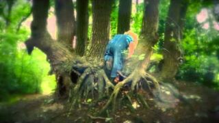 Tipje van de Sluier Tipje van de Sluier