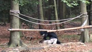 Uitzending Dinsdag Uitzending Dinsdag