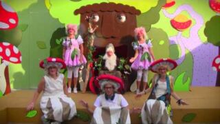 1-2 NP Wonderenwoud 1-2 NP Wonderenwoud