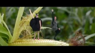 1-2 HH Insectendorp 1-2 HH Insectendorp