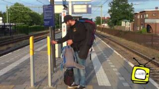 Tipje van de sluier Tipje van de sluier