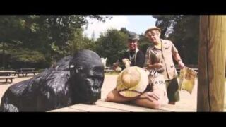 1-2 HH Safari 1-2 HH Safari